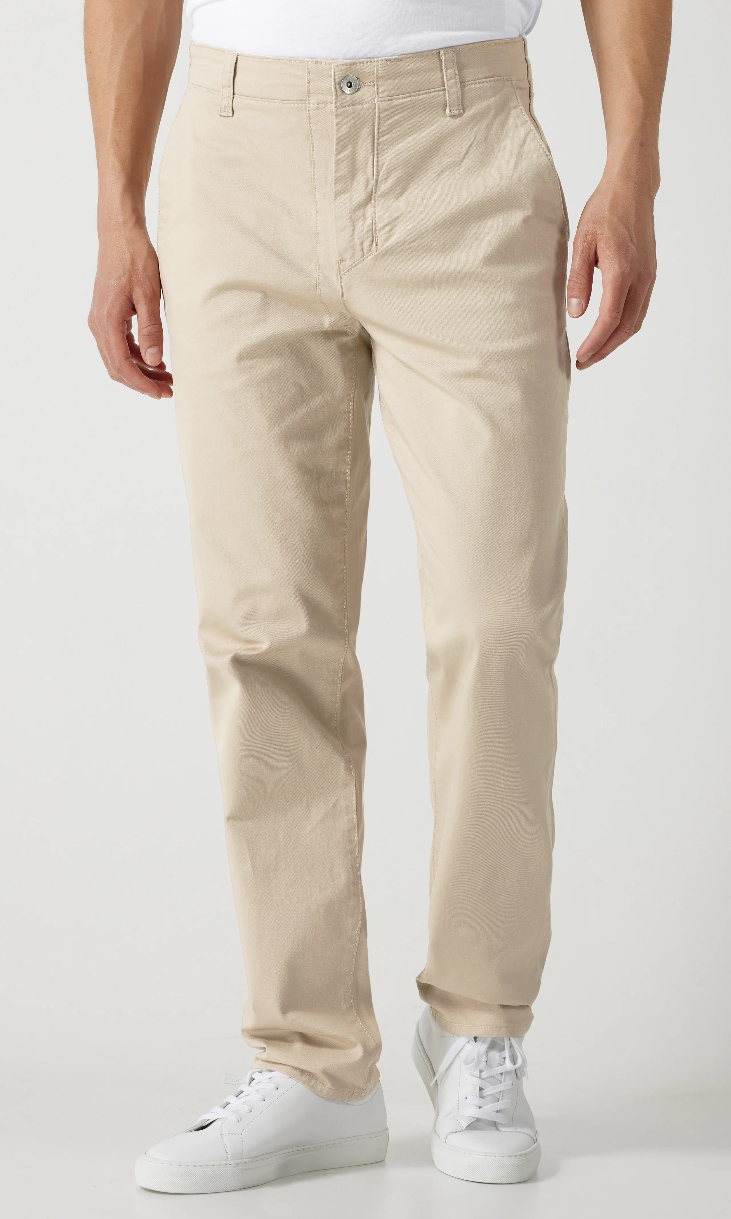 Standard Chinot. Front. Model.