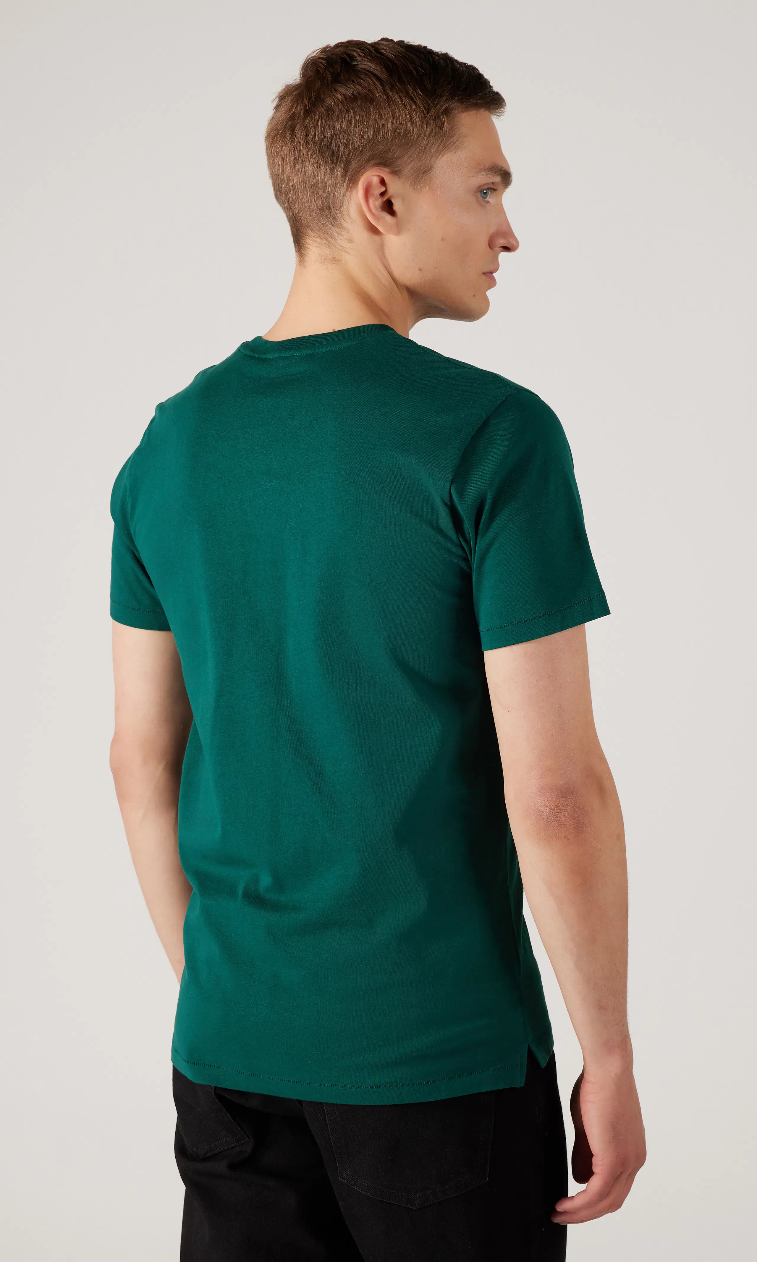 Falcon Regular T-Shirt. Back. Model.