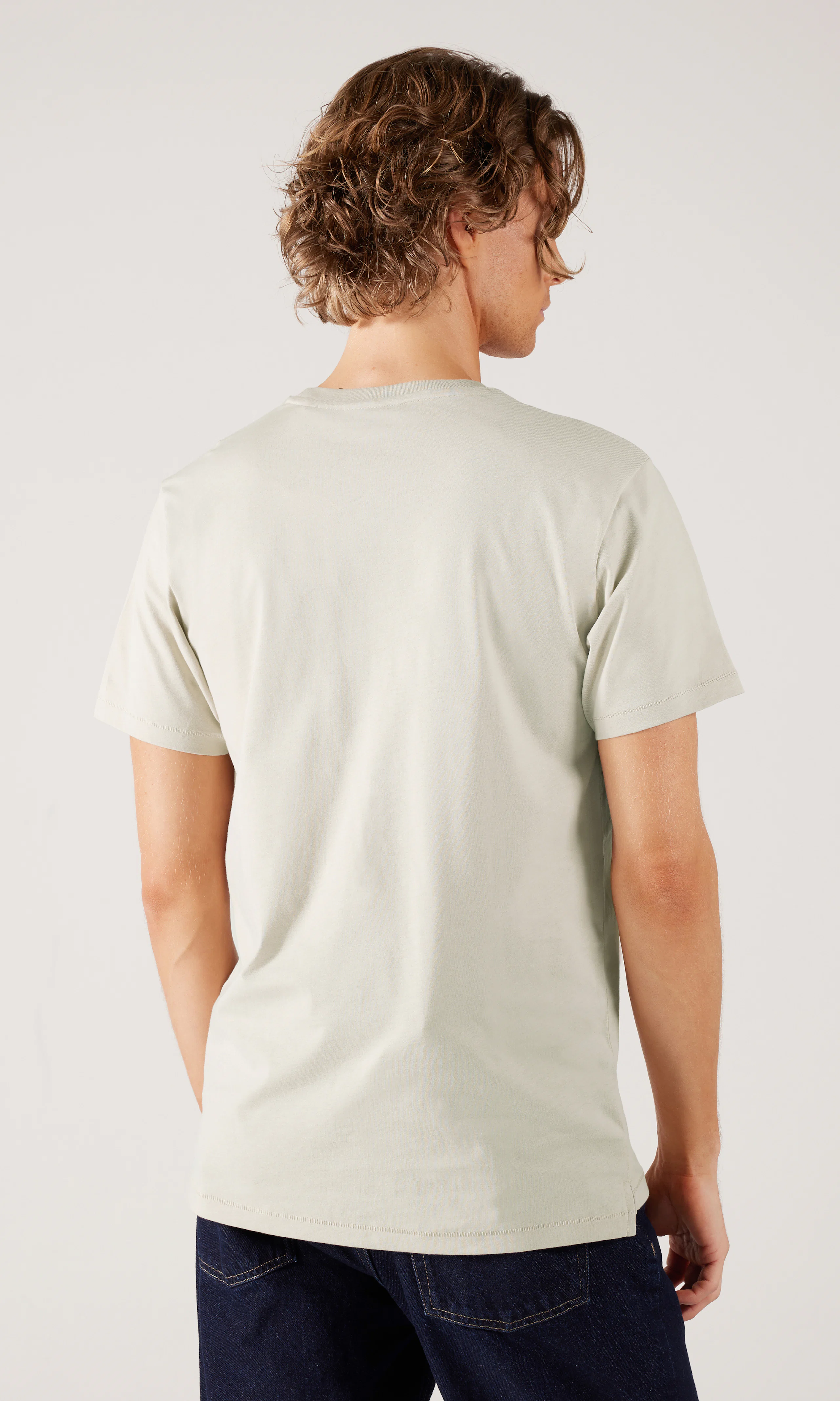 Falcon Regular T-Shirt. Back. Model.