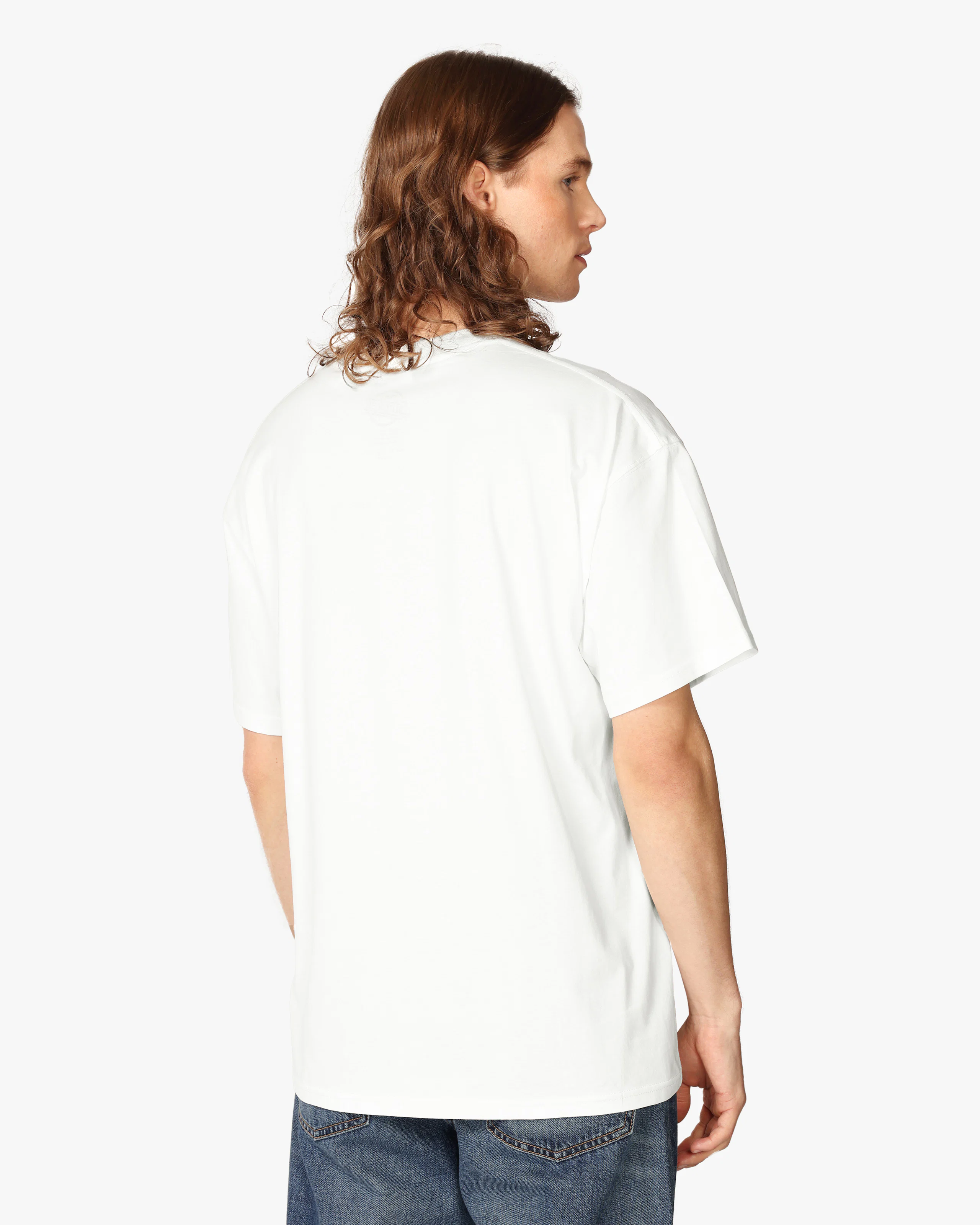The Strokes Loose Fit T-Skjorte. Back. Model.