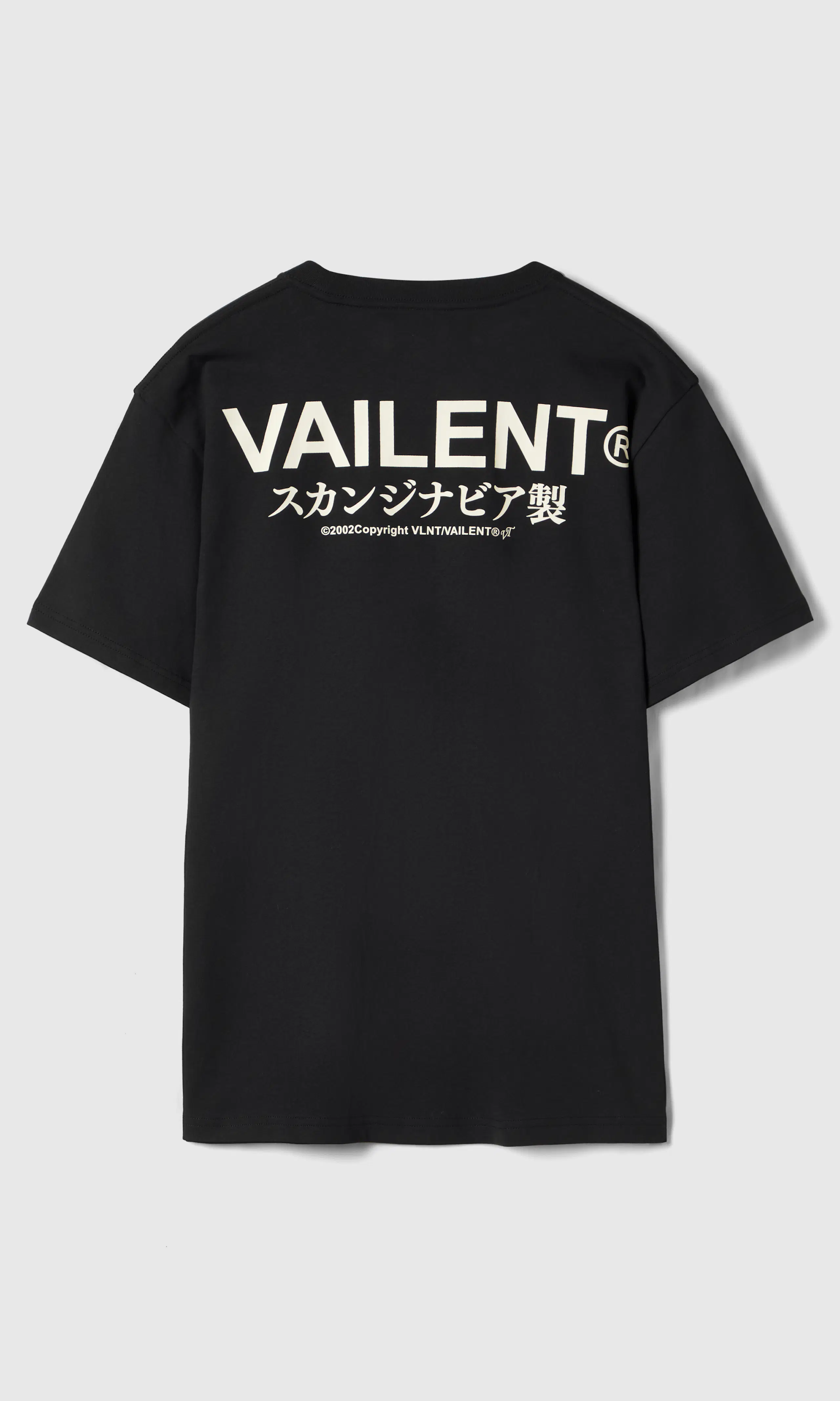Graphic T-Skjorte. Back. Flat.