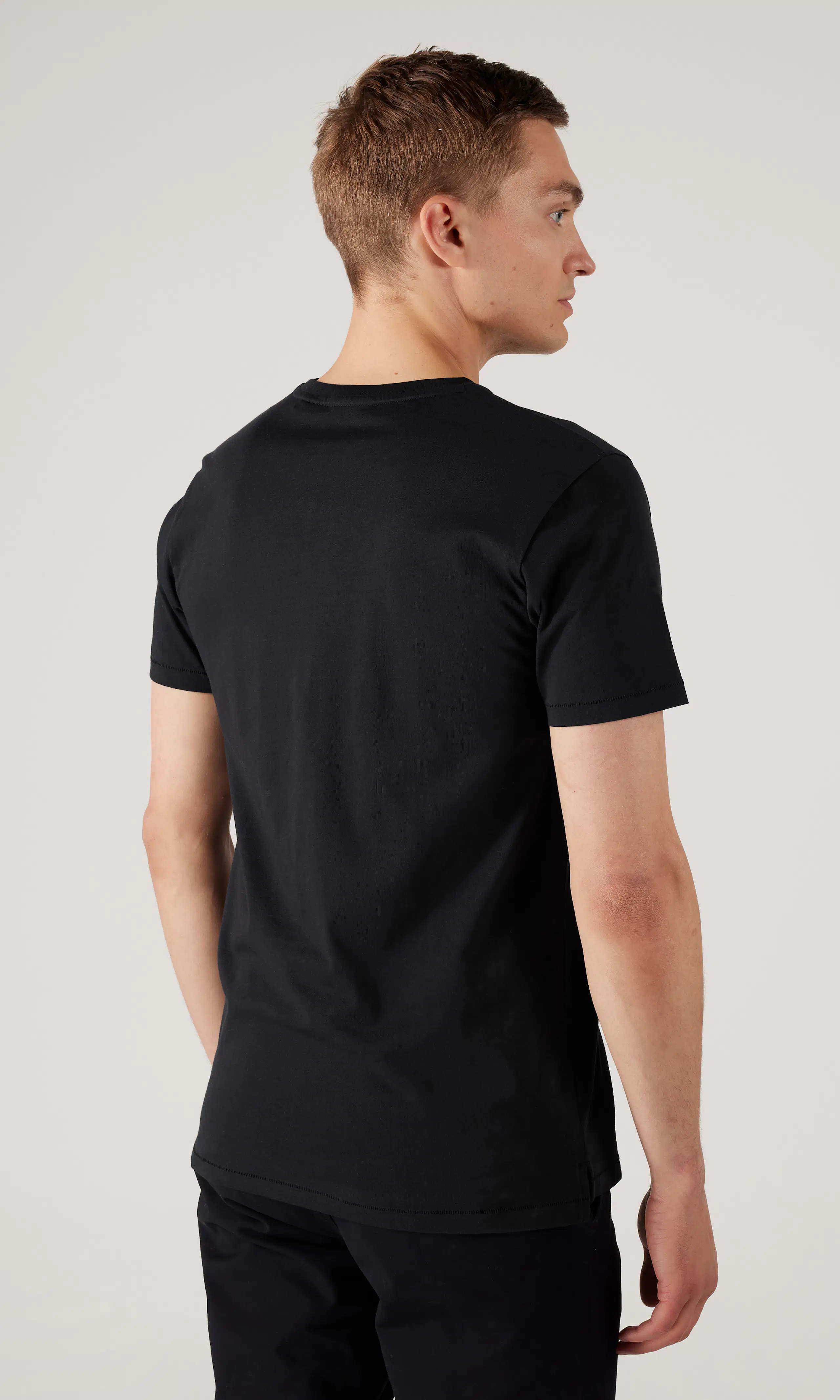 Falcon V-Neck Regular T-Paita. Back. Model.