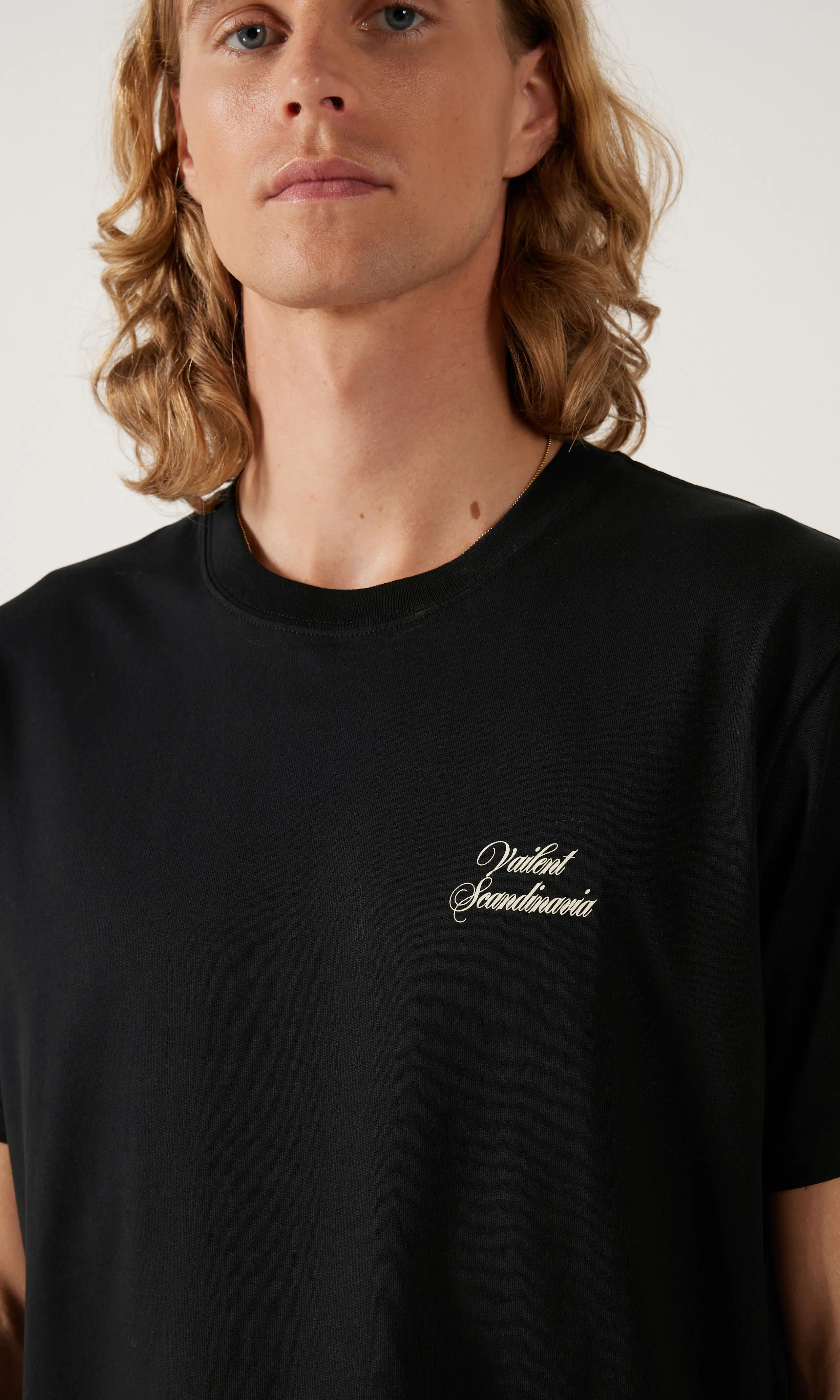 Logo T-Skjorte. Detail 1. Model.