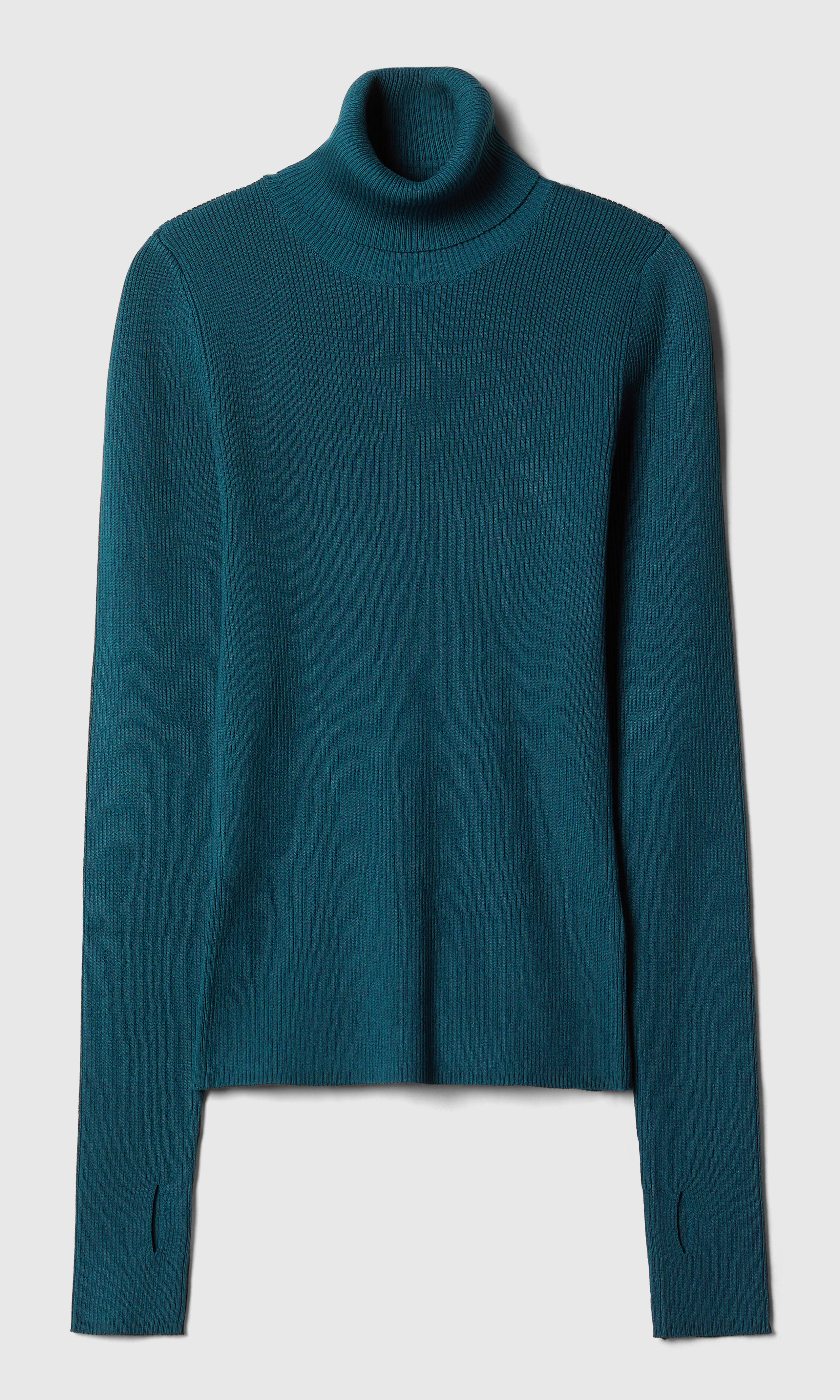 Turtle Long Sleeve. Front. Flat.