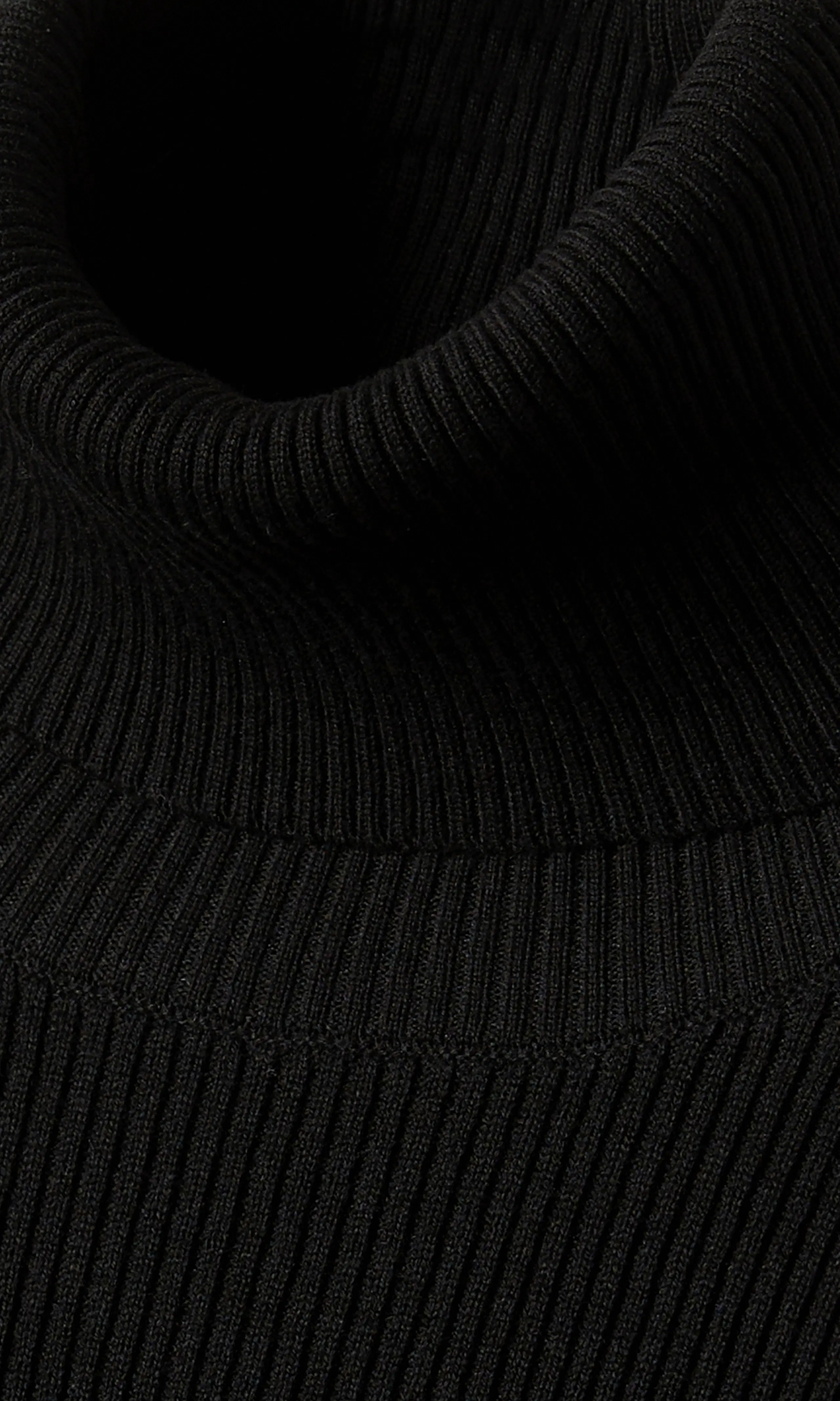 Turtle Long Sleeve. Detail 1. Flat.