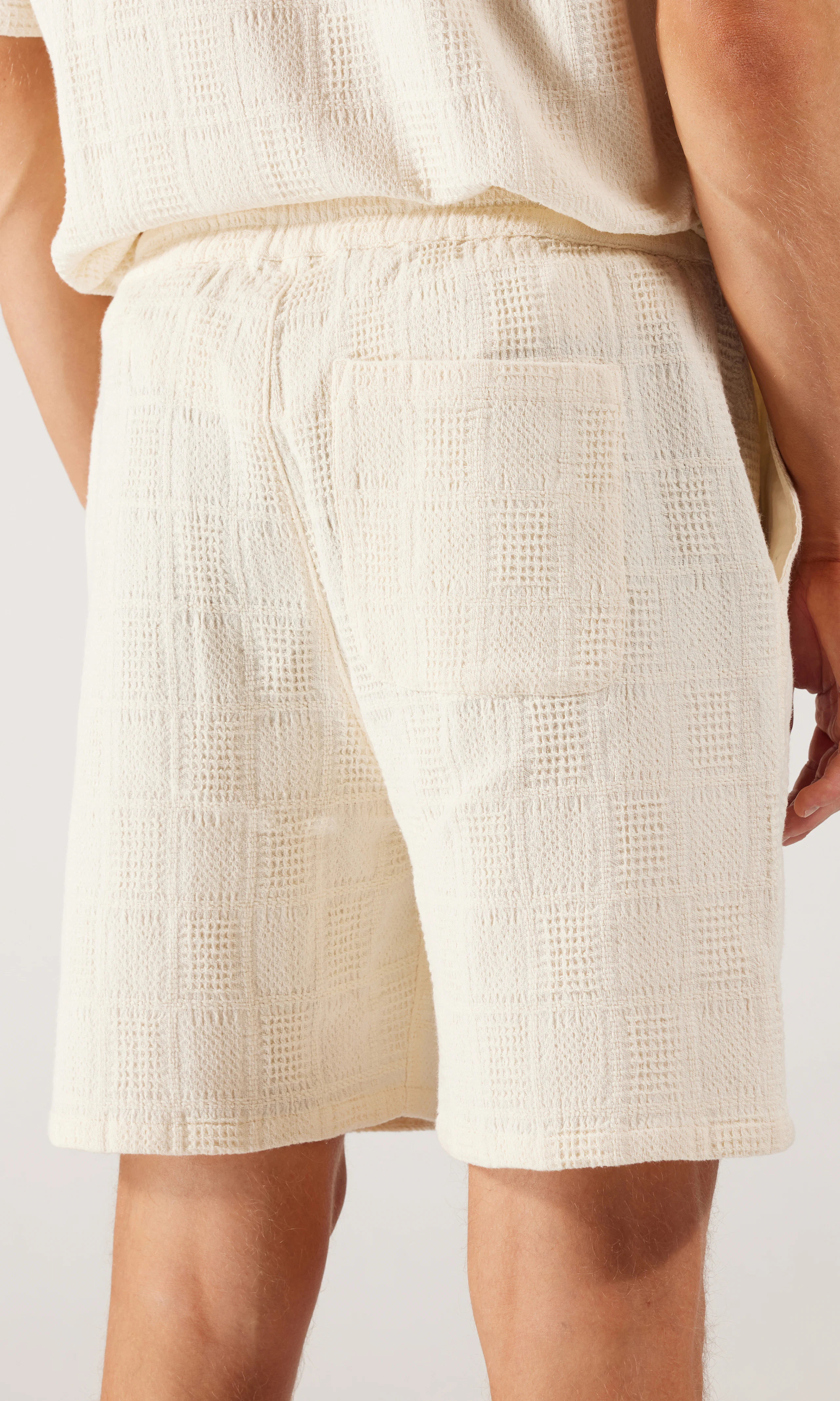 Checkers Shorts. Back. Model.