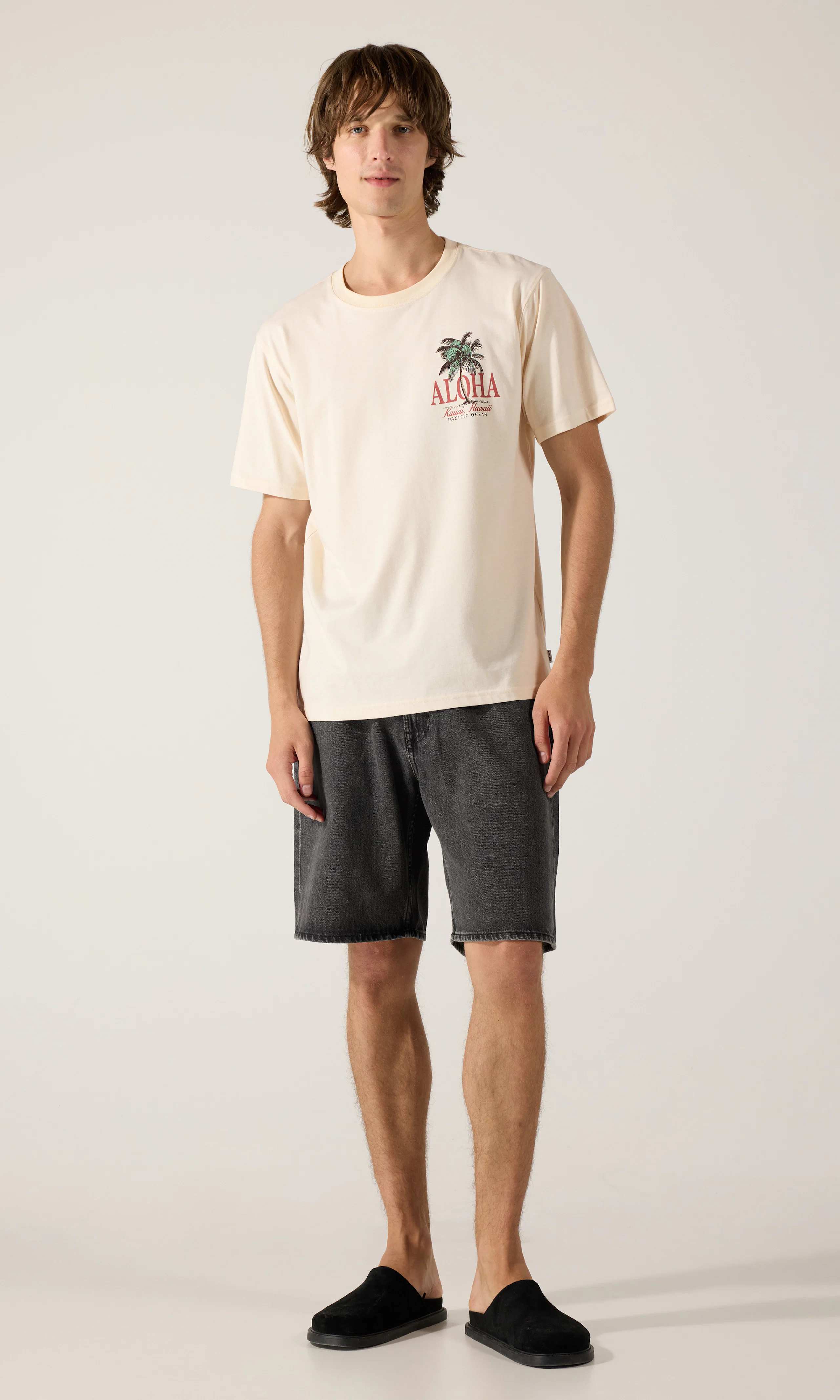 Aloha T-Shirt. Front 1. Model.