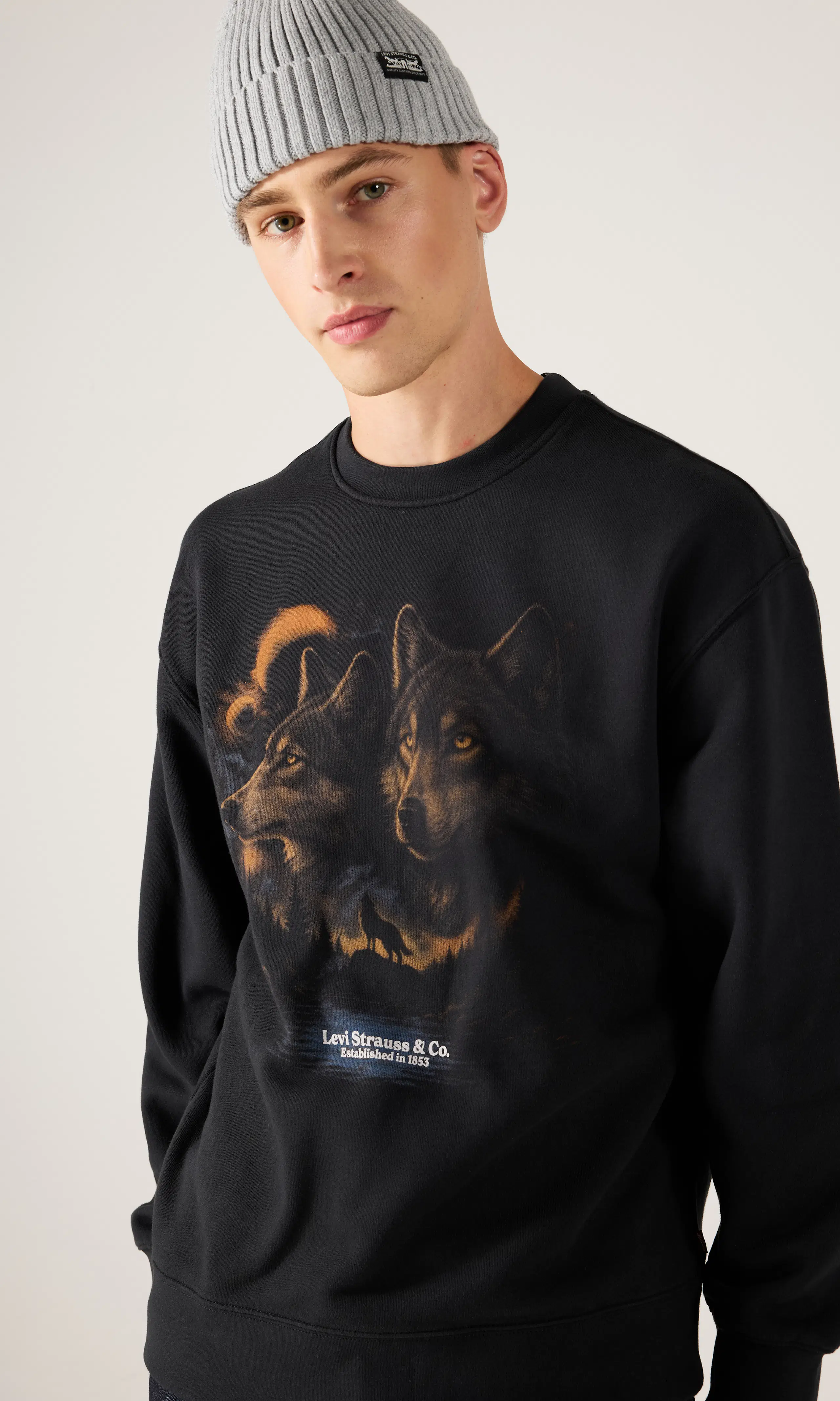 Relaxed Graphic Crew Tröja. Front. Model.
