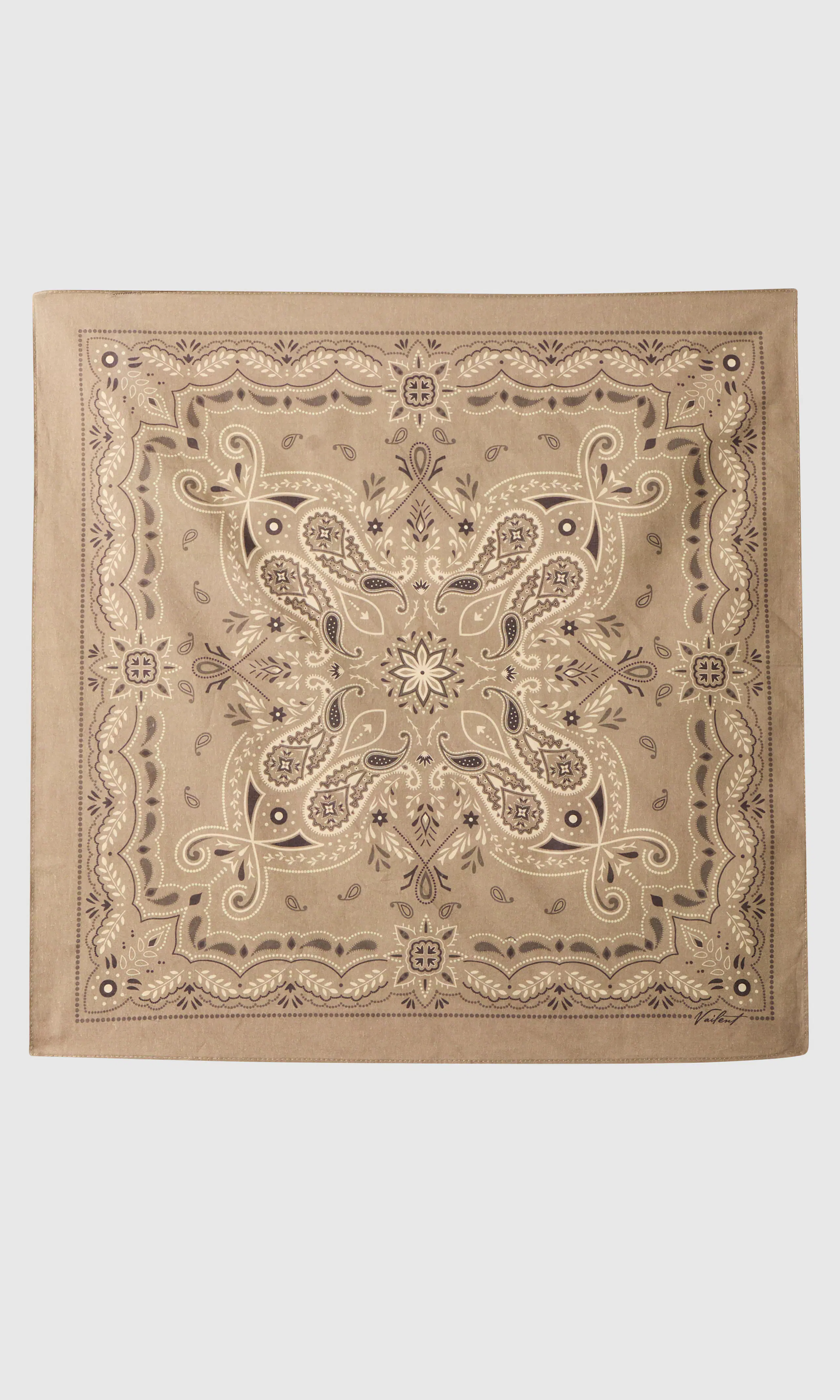 Bandana. Front 1. Flat.